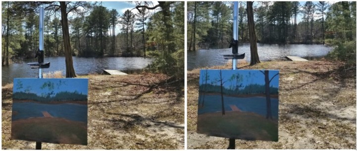 pond pictures 3 and 4